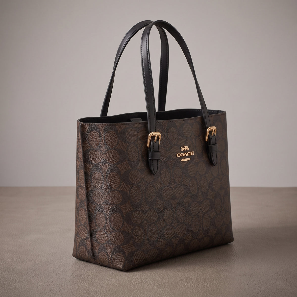 Coach Mollie Tote - Coffee And Black